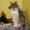 Отзыв от Эльмира Жарова